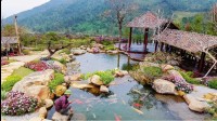 Homestay đẹp ở Bình Liêu