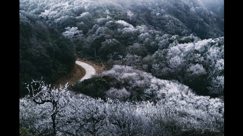 5 địa điểm có băng tuyết ở Việt Nam mùa đông | Cảnh đẹp mê hoặc