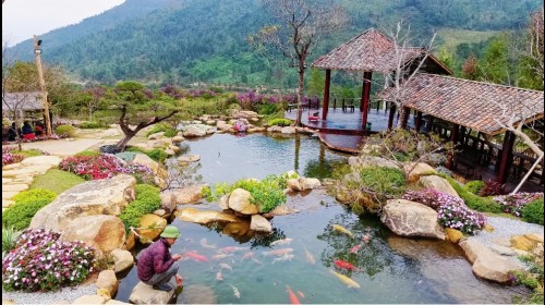 Homestay đẹp ở Bình Liêu