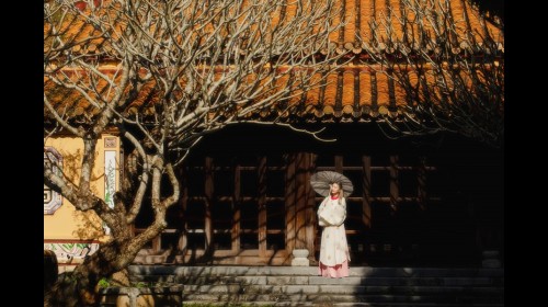 Huế miễn phí vé tham quan vào ngày 26/3