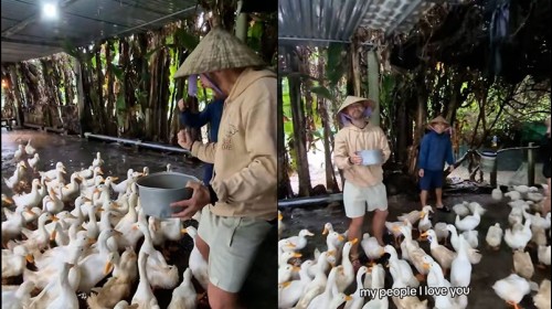 Khách Tây thích thú với những trải nghiệm ở Việt Nam