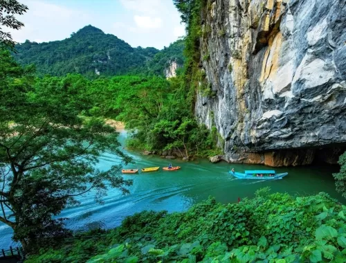 Tour Đà Nẵng động Phong Nha