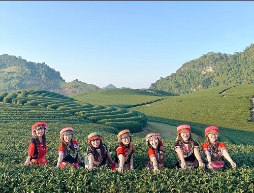 Tour Đà Nẵng Mộc Châu 3 ngày 2 đêm